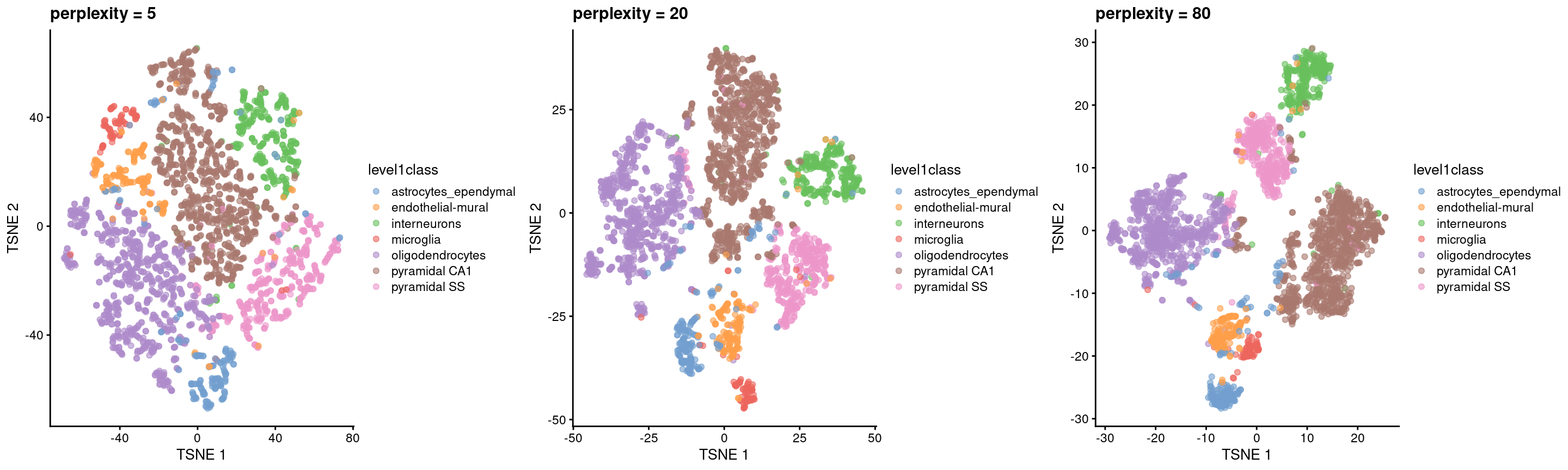 $t$-SNE plots constructed from the top PCs in the Zeisel brain dataset, using a range of perplexity values. Each point represents a cell, coloured according to its annotation.