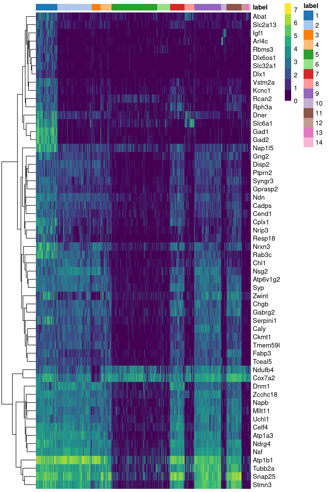 Heatmap of the log-expression of the top markers for cluster 1 compared to each other cluster. Cells are ordered by cluster and the color is scaled to the log-expression of each gene in each cell.