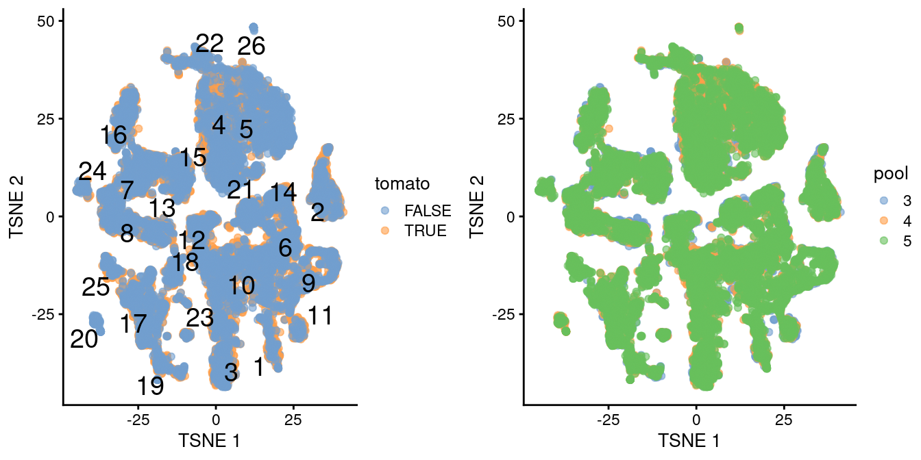 $t$-SNE plot of the WT chimeric dataset, where each point represents a cell and is colored according to td-Tomato expression (left) or batch of origin (right). Cluster numbers are superimposed based on the median coordinate of cells assigned to that cluster.