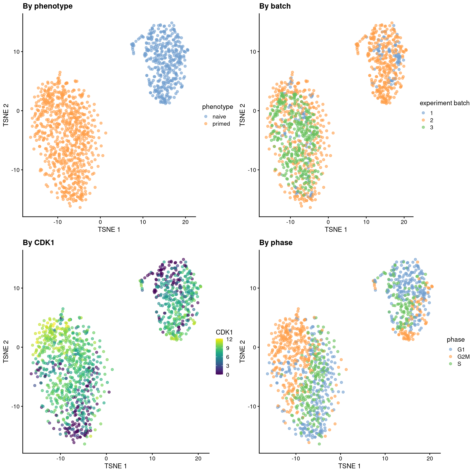 Obligatory $t$-SNE plots of the Messmer hESC dataset, where each point is a cell and is colored by various attributes.