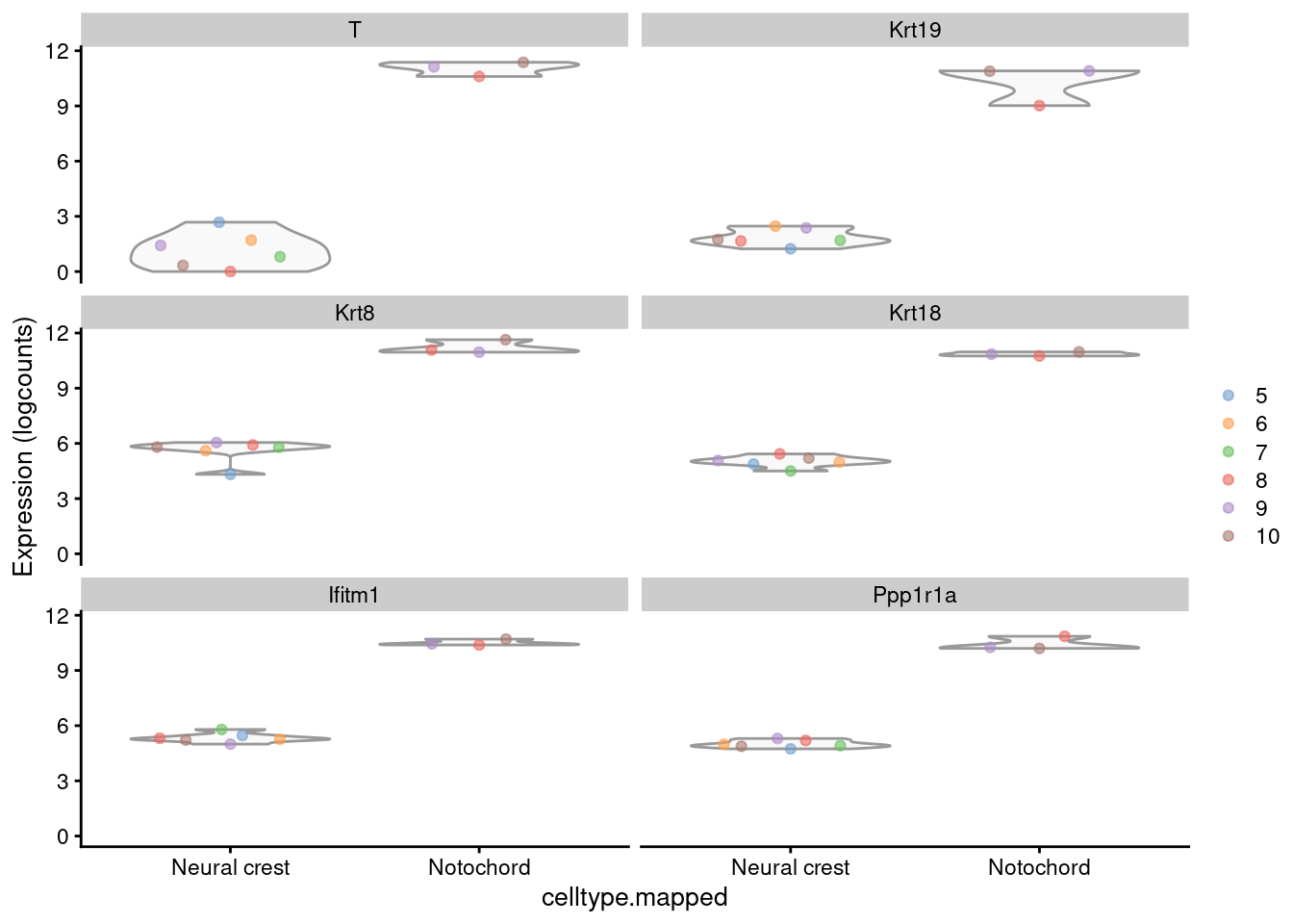 Distribution of the log-expression values for the top DEGs between the neural crest and notochord. Each point represents a pseudo-bulk profile and is colored by the sample of origin.