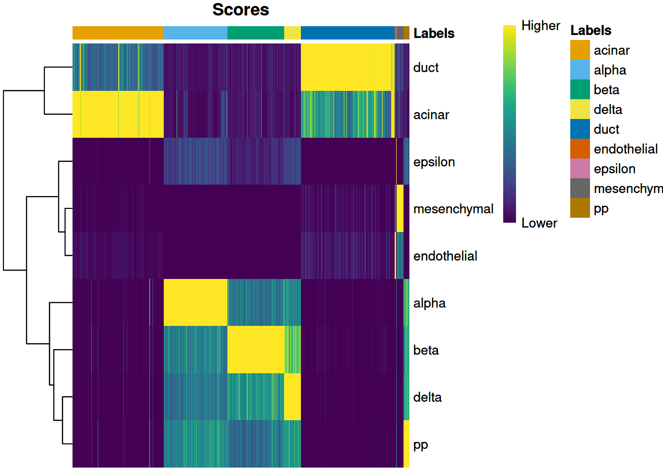 Heatmap of the (normalized) assignment scores for each cell (column) in the Grun test dataset with respect to each label (row) in the Muraro reference dataset. The final assignment for each cell is shown in the annotation bar at the top.