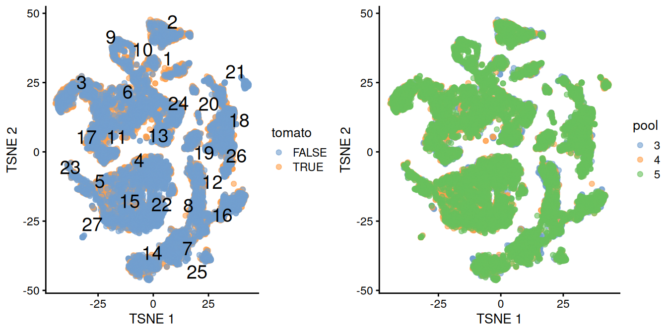 $t$-SNE plot of the WT chimeric dataset, where each point represents a cell and is colored according to td-Tomato expression (left) or batch of origin (right). Cluster numbers are superimposed based on the median coordinate of cells assigned to that cluster.