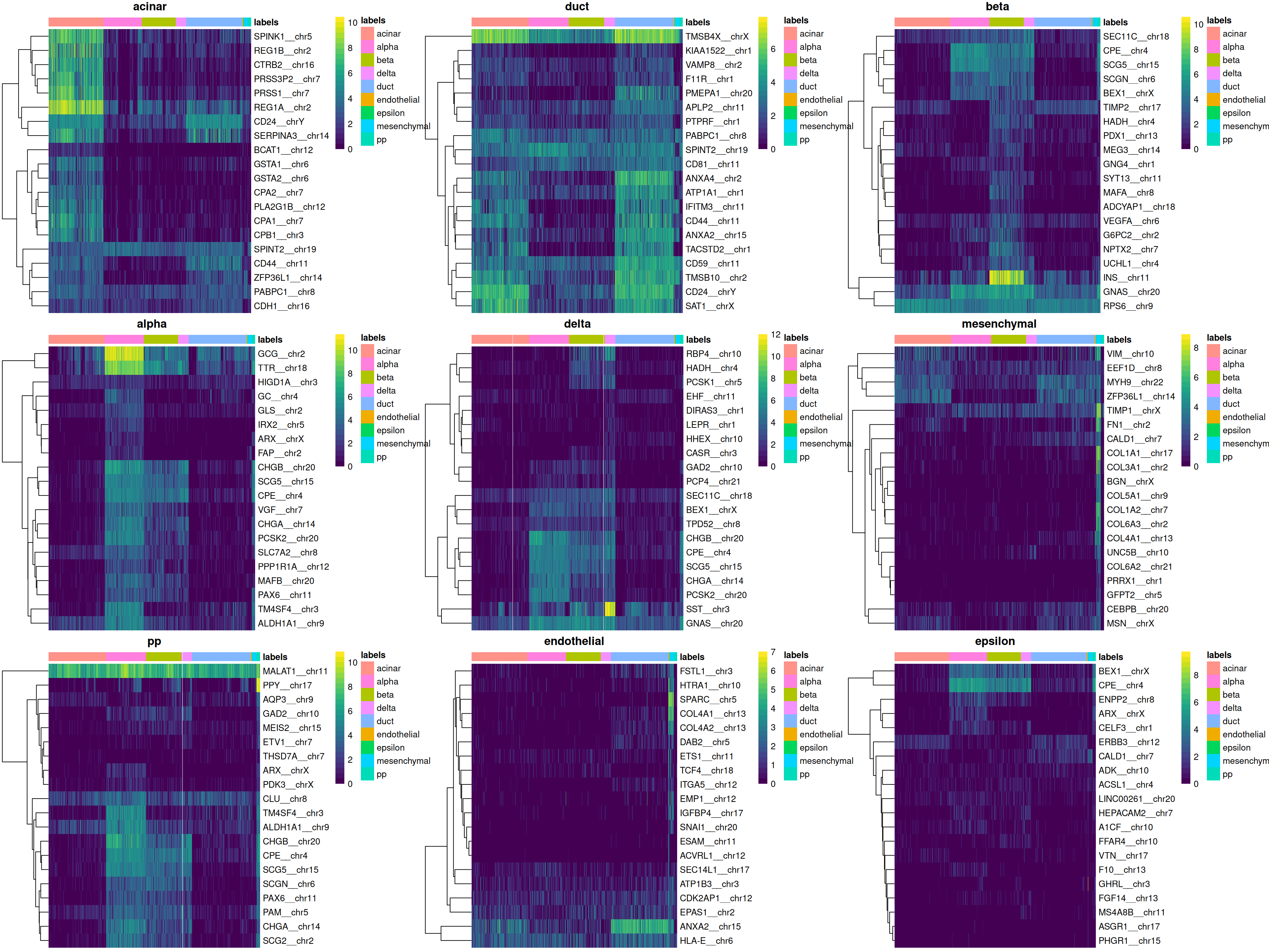 Heatmaps of log-expression values in the Grun dataset for the top marker genes upregulated in each label in the Muraro reference dataset. Assigned labels for each cell are shown at the top of each plot.