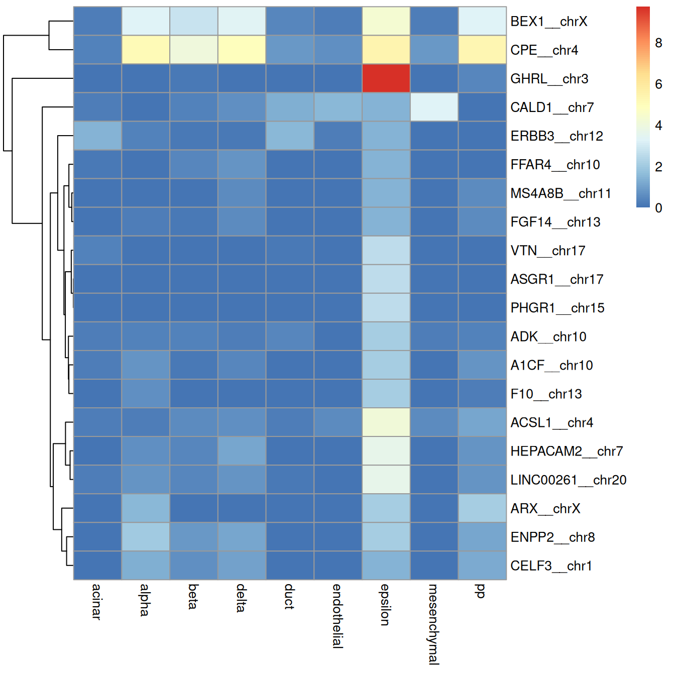 Heatmap of log-expression values in the Grun dataset for the top marker genes upregulated in epsilon cells in the Muraro reference dataset. Assigned labels for each cell are shown at the top of the plot.