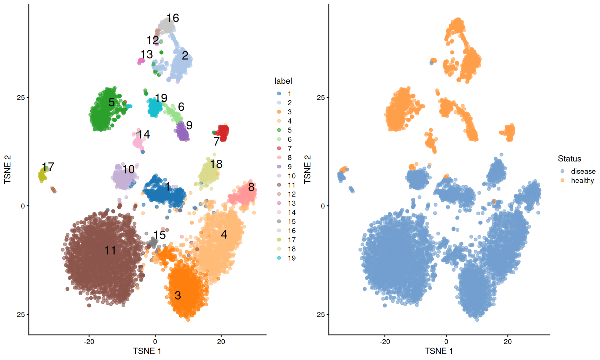 $t$-SNE plots of the Wu kidney dataset. Each point is a cell and is colored by its cluster assignment (left) or its disease status (right).